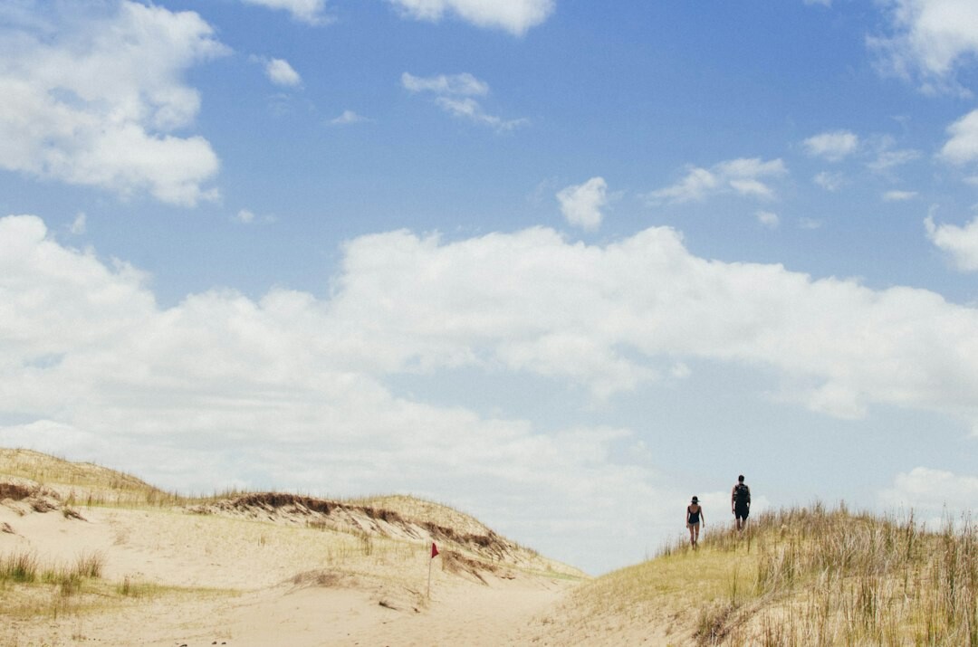 Pine forest and dune path leading to Manantiales beach